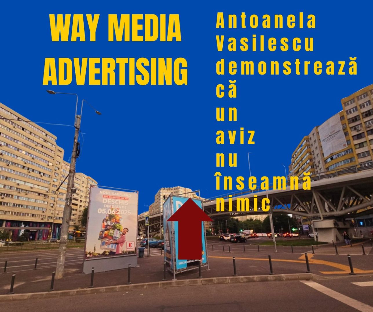 Way Advertise Production SRL, Antoanela Vasilescu și controversele din publicitatea outdoor: o investigație detaliată